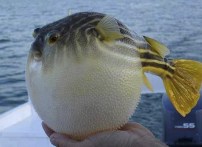 字母圈我尿裤子了,这在成年人里也是相当炸裂的 字母圈我尿裤子了,这在成年人里也是相当炸裂的