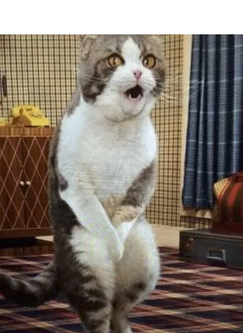 字母圈我尿裤子了,这在成年人里也是相当炸裂的 字母圈我尿裤子了,这在成年人里也是相当炸裂的