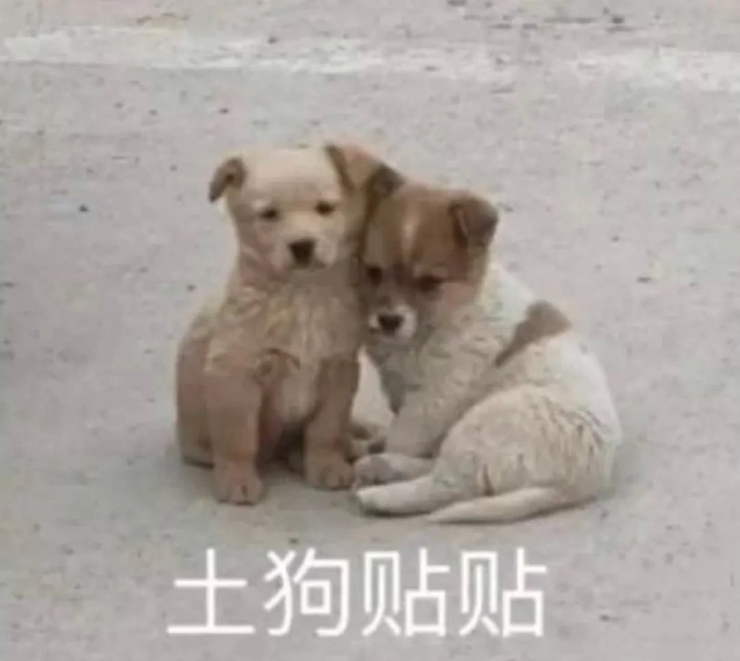 字母圈狠狠拥抱的感觉谁懂啊!!! 字母圈狠狠拥抱的感觉谁懂啊!!!