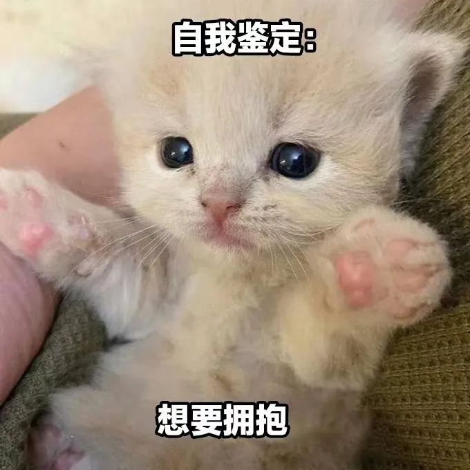 字母圈狠狠拥抱的感觉谁懂啊!!! 字母圈狠狠拥抱的感觉谁懂啊!!!