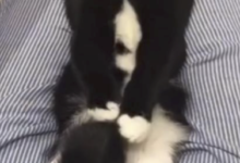 字母圈我尿裤子了,这在成年人里也是相当炸裂的-瘾欢