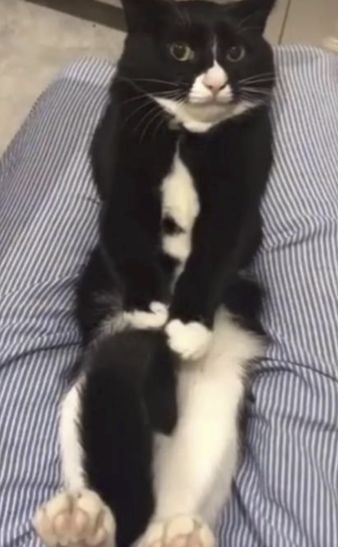 字母圈我尿裤子了,这在成年人里也是相当炸裂的 字母圈我尿裤子了,这在成年人里也是相当炸裂的