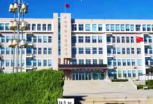 正在和学校玩一场一s多m制24/7的大型字母圈游戏-瘾欢