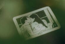 字母圈“有爱无性”的十四年-瘾欢