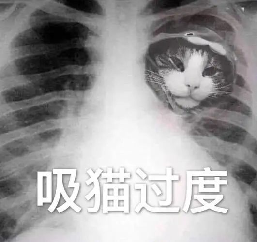 字母圈“一边走,一边尿,湿湿热热谁知道” 字母圈“一边走,一边尿,湿湿热热谁知道”