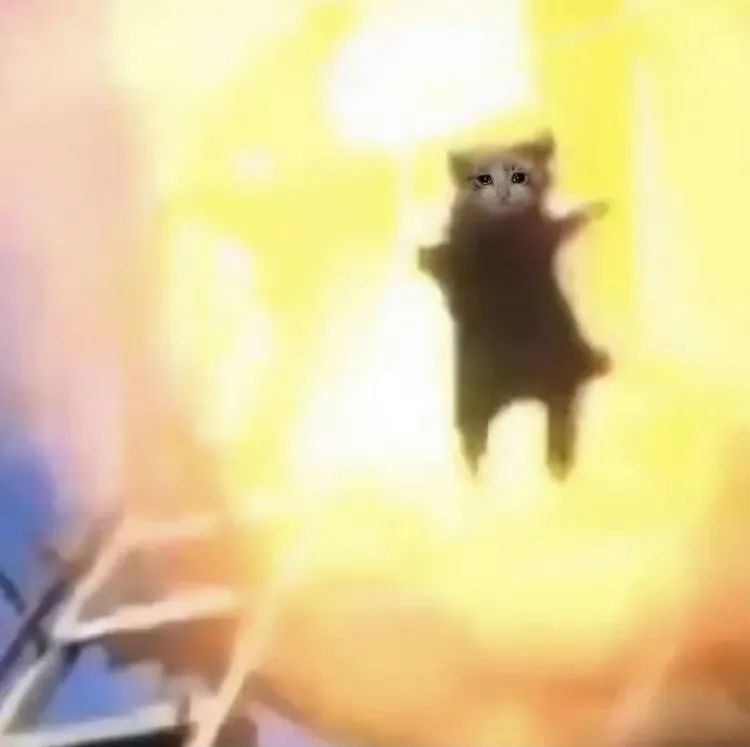 字母圈【无性恋】年纪轻轻就木有了那种“世俗的欲望”…… 字母圈【无性恋】年纪轻轻就木有了那种“世俗的欲望”……