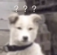 字母圈“我做了一套能监测身体的全自动自罚装置” 字母圈“我做了一套能监测身体的全自动自罚装置”