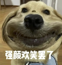 字母圈“我做了一套能监测身体的全自动自罚装置” 字母圈“我做了一套能监测身体的全自动自罚装置”