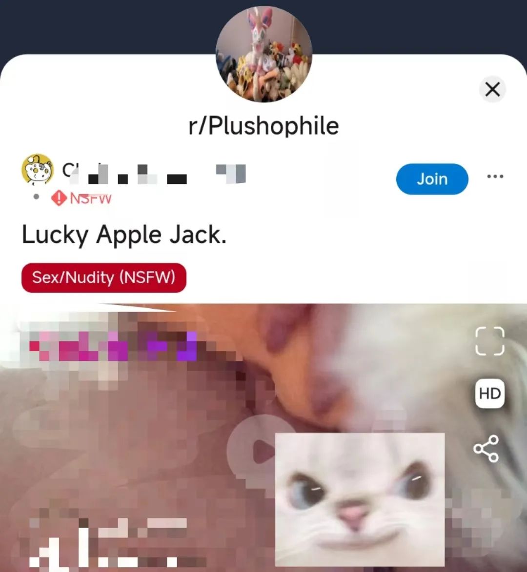 字母圈这种XP比福瑞控还可爱,谁懂! 字母圈这种XP比福瑞控还可爱,谁懂!