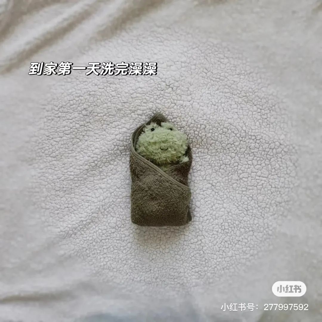 字母圈这种XP比福瑞控还可爱,谁懂! 字母圈这种XP比福瑞控还可爱,谁懂!