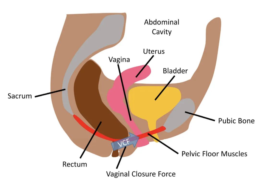 字母圈分享一个刚发现的快乐小技巧!!! 字母圈分享一个刚发现的快乐小技巧!!!