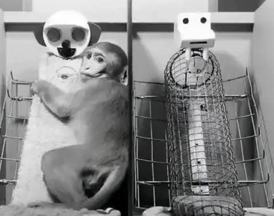 字母圈这种XP比福瑞控还可爱,谁懂! 字母圈这种XP比福瑞控还可爱,谁懂!