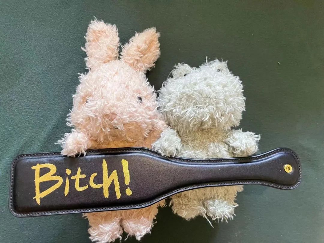 字母圈这种XP比福瑞控还可爱,谁懂! 字母圈这种XP比福瑞控还可爱,谁懂!