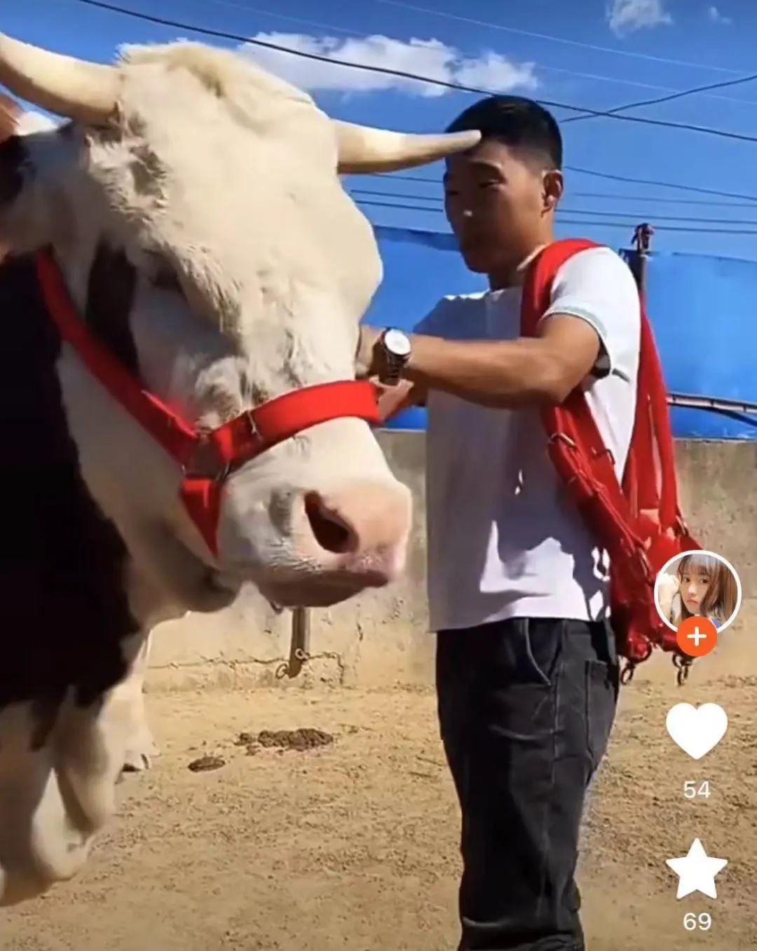 字母圈玩腻了宠物play,“畜牧农场”play考虑一下? 字母圈玩腻了宠物play,“畜牧农场”play考虑一下?