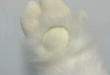 字母圈玩腻了宠物play，“畜牧农场”play考虑一下？-瘾欢