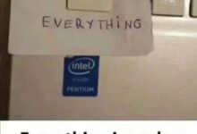 字母圈“SM属性大爆发”,完美演绎了我的精神状态-瘾欢