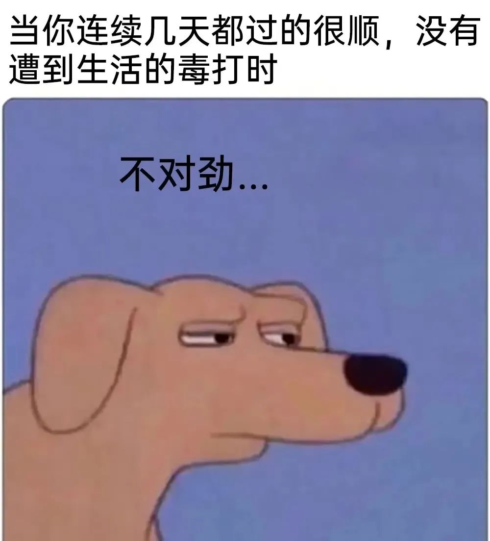 字母圈你都被哪些匪夷所思的道具SP过? 字母圈你都被哪些匪夷所思的道具SP过?