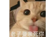 被夸夸能比doi还爽?!有一种xp就是“被夸”-瘾欢