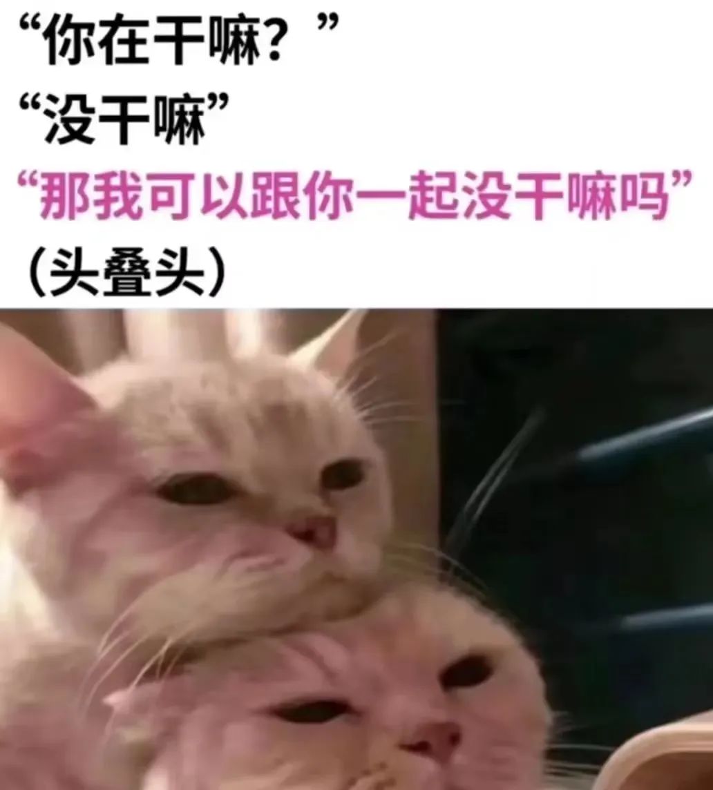 字母圈被夸夸能比doi还爽?!有一种xp就是“被夸” 字母圈被夸夸能比doi还爽?!有一种xp就是“被夸”