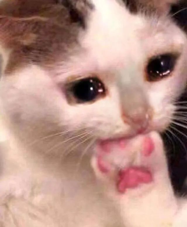 字母圈被夸夸能比doi还爽?!有一种xp就是“被夸” 字母圈被夸夸能比doi还爽?!有一种xp就是“被夸”