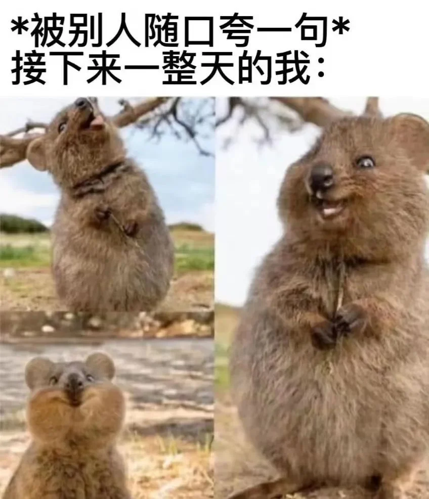 字母圈被夸夸能比doi还爽?!有一种xp就是“被夸” 字母圈被夸夸能比doi还爽?!有一种xp就是“被夸”