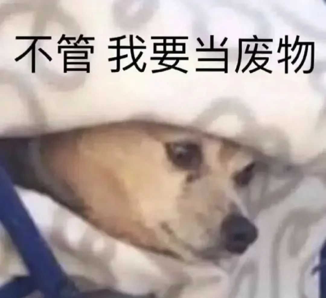 字母圈被夸夸能比doi还爽?!有一种xp就是“被夸” 字母圈被夸夸能比doi还爽?!有一种xp就是“被夸”