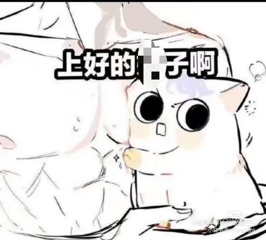 字母圈要我说,大肌(肉)在圈内没有代餐! 字母圈要我说,大肌(肉)在圈内没有代餐!