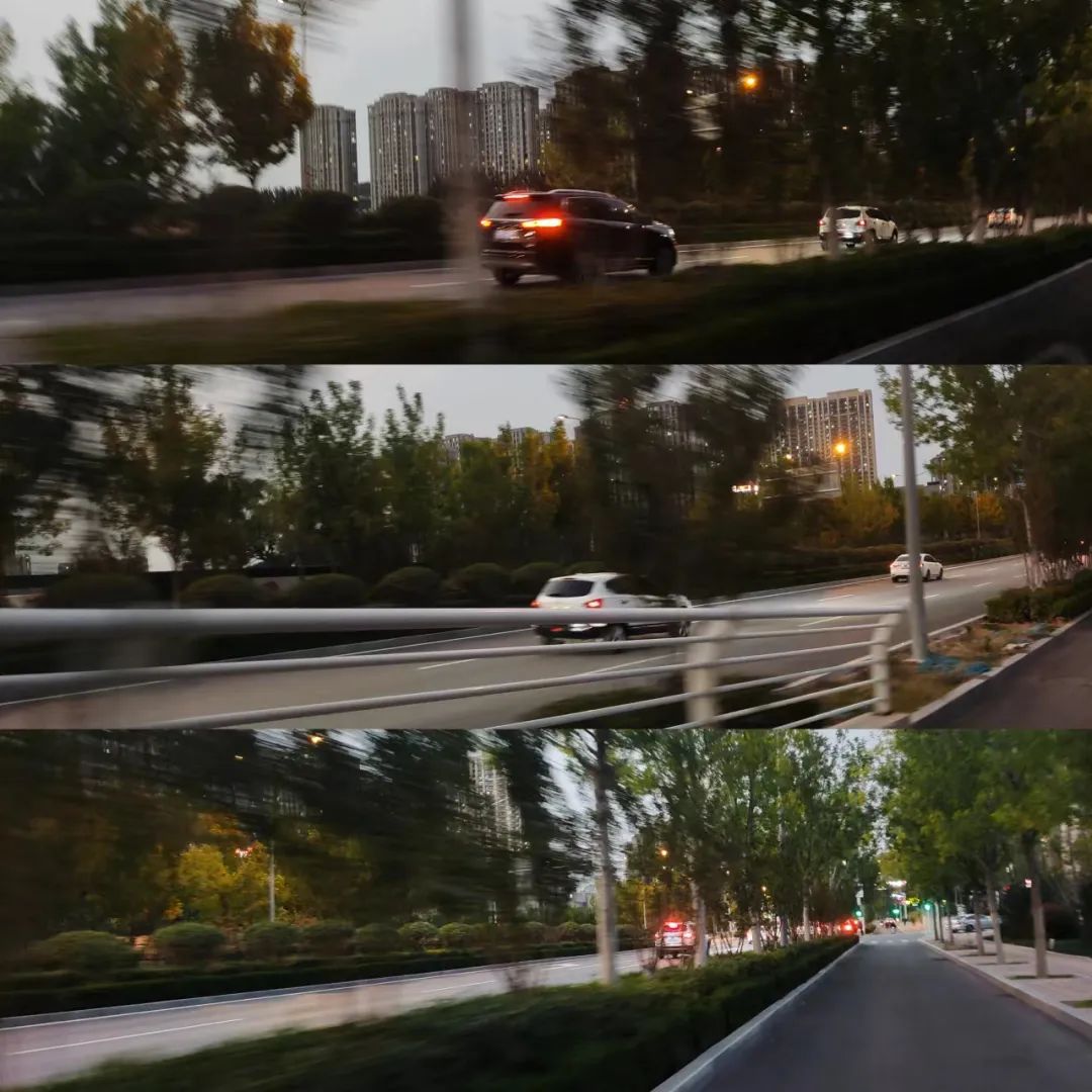 字母圈我的小狗恋人 字母圈我的小狗恋人