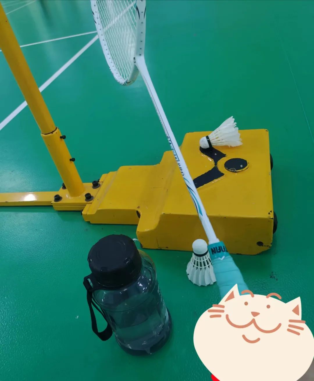 字母圈我的小狗恋人 字母圈我的小狗恋人