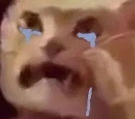 字母圈“脆皮M”有多容易坏掉? 字母圈“脆皮M”有多容易坏掉?