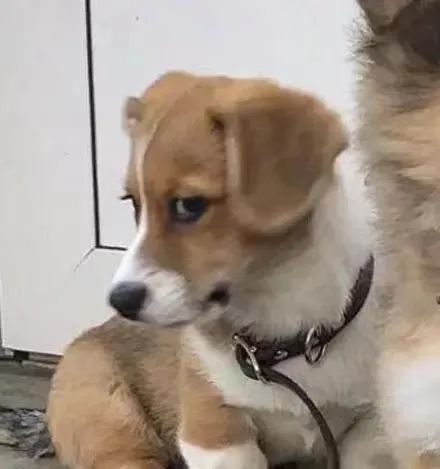 字母圈当brat说我错了,其实是在...... 字母圈当brat说我错了,其实是在......