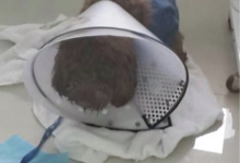 对于字母圈现状的一点感悟-瘾欢