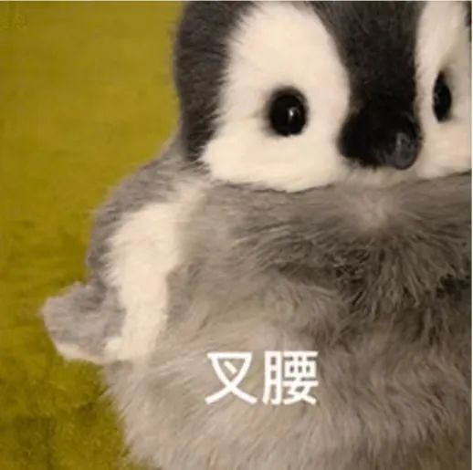 字母圈写给sub的十句话 字母圈写给sub的十句话