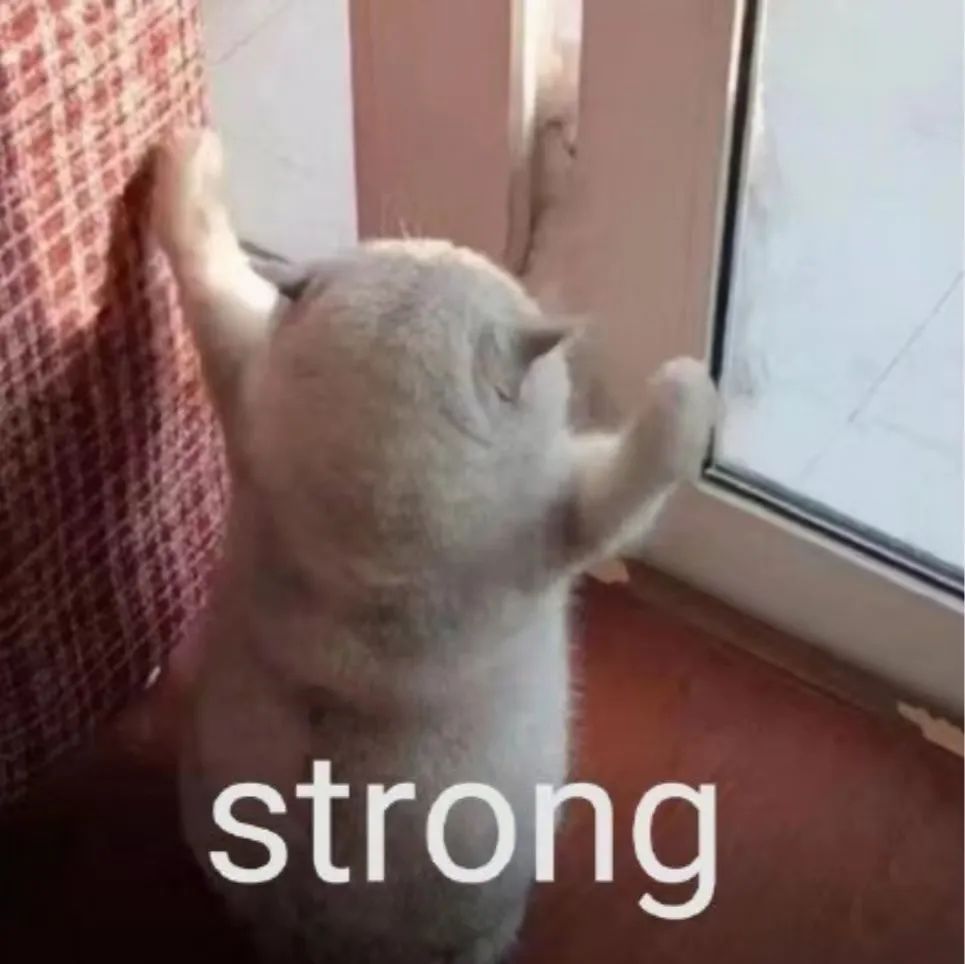 字母圈写给sub的十句话 字母圈写给sub的十句话