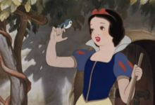 字母圈科普“公主，请查收这篇干货”-瘾欢