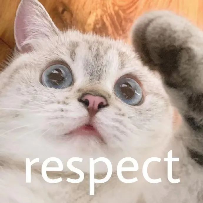 字母圈写给sub的十句话 字母圈写给sub的十句话