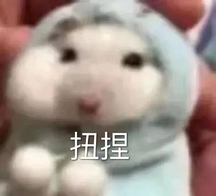 字母圈写给sub的十句话 字母圈写给sub的十句话