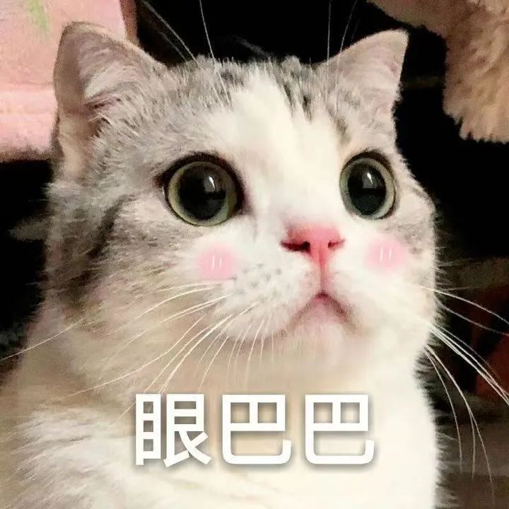 字母圈写给sub的十句话 字母圈写给sub的十句话