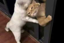 字母圈几个play的姿势哈哈哈,别问,问就是在健身-瘾欢