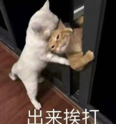 字母圈几个play的姿势哈哈哈,别问,问就是在健身 字母圈几个play的姿势哈哈哈,别问,问就是在健身