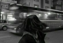 学历有差距的情侣-瘾欢