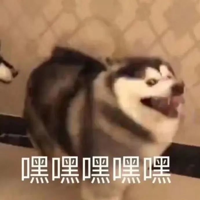 字母圈brat调皮的手段原来这么多 字母圈brat调皮的手段原来这么多