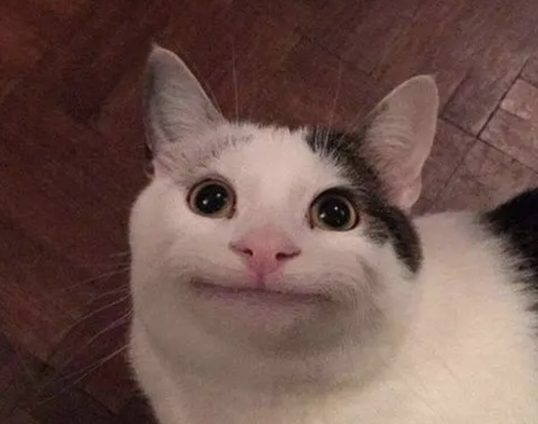 字母圈真 · 小狗日记