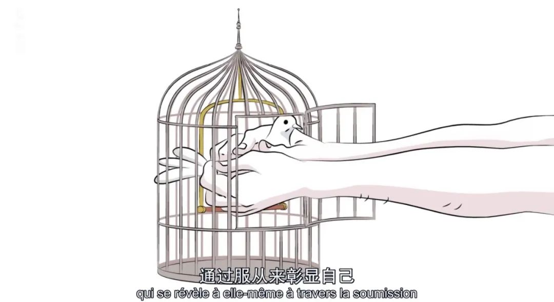 字母圈“蝌蚪有营养的话,为啥男的不自己喝?”|豆瓣9.2的成人性教育动画 字母圈“蝌蚪有营养的话,为啥男的不自己喝?”|豆瓣9.2的成人性教育动画