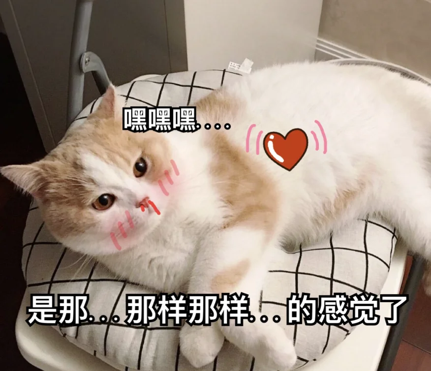 字母圈干货预警:女性贞操锁科普指北 字母圈干货预警:女性贞操锁科普指北