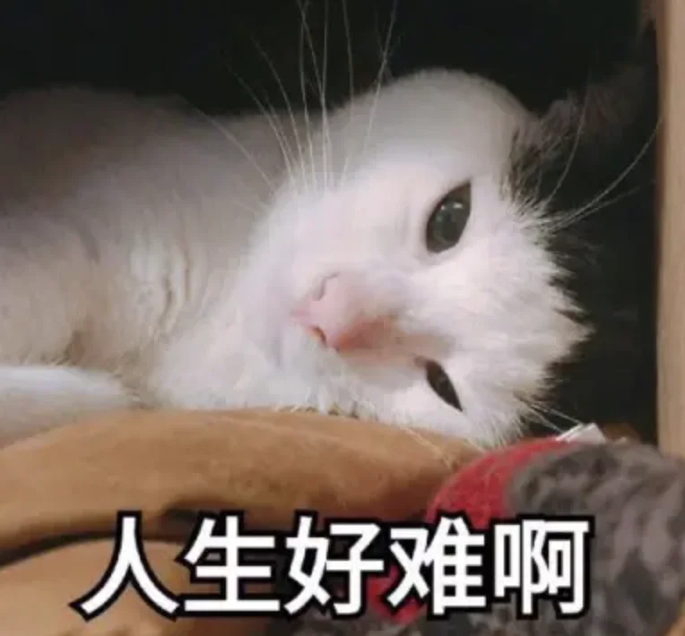 字母圈干货预警:女性贞操锁科普指北 字母圈干货预警:女性贞操锁科普指北