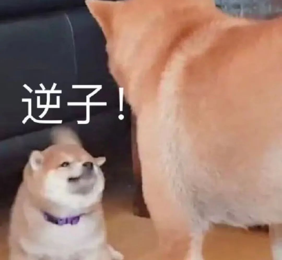 字母圈“虐恋”的前提是“恋” 字母圈“虐恋”的前提是“恋”