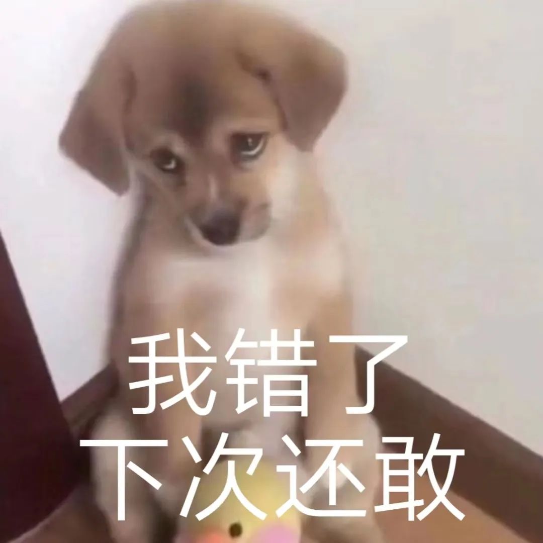 字母圈brat调皮的手段原来这么多 字母圈brat调皮的手段原来这么多