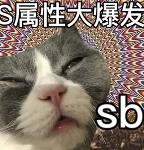 字母圈现在的play,B/D/S/M 四个字母已经不够用了! 字母圈现在的play,B/D/S/M 四个字母已经不够用了!