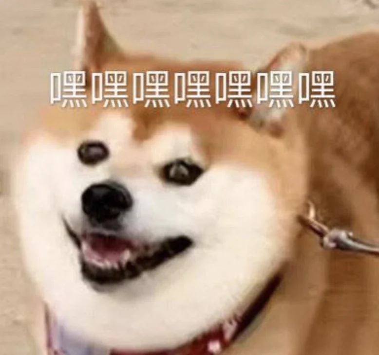 字母圈干货预警:女性贞操锁科普指北 字母圈干货预警:女性贞操锁科普指北